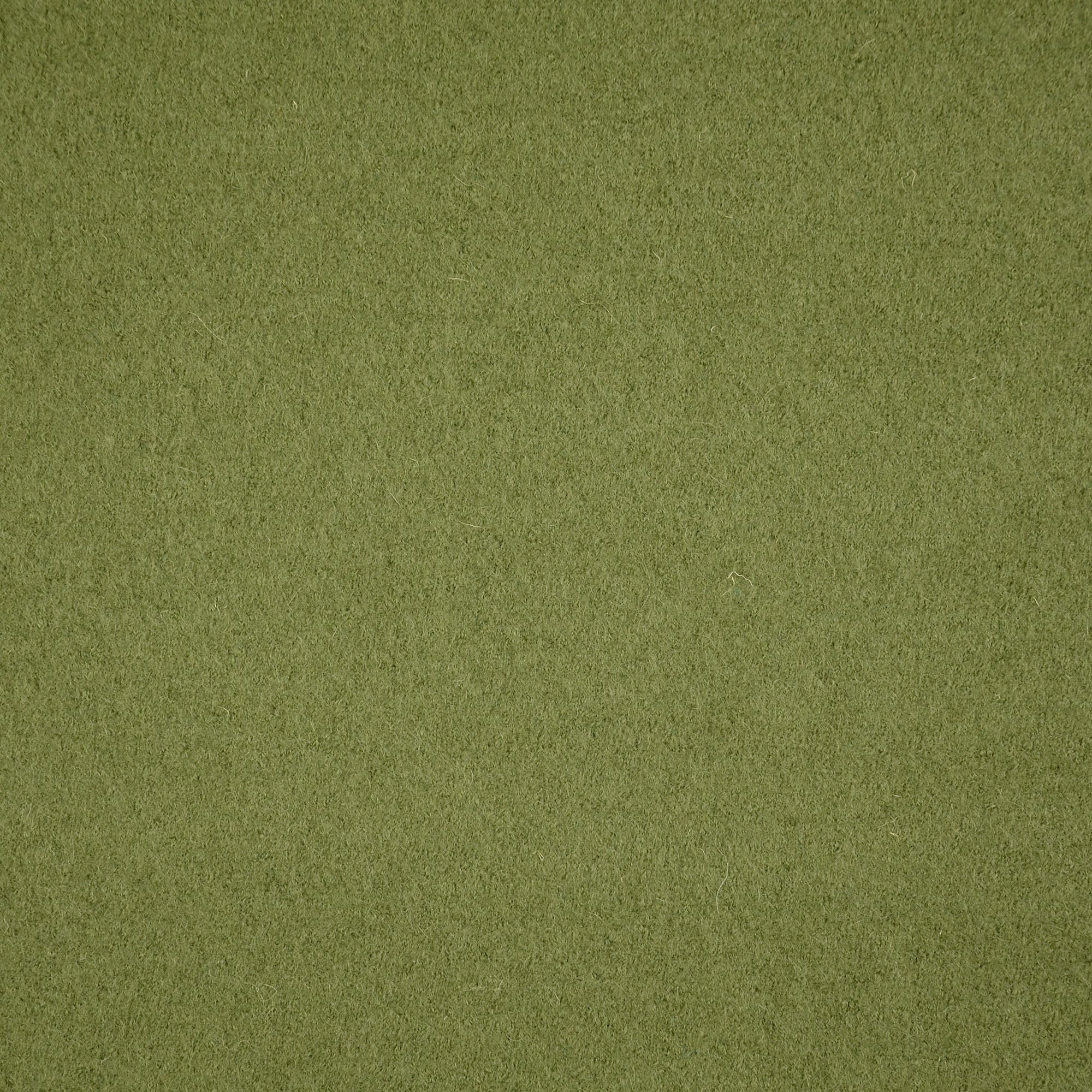 Boiled Wool - Walkloden - Fern - 5033 - Image 3