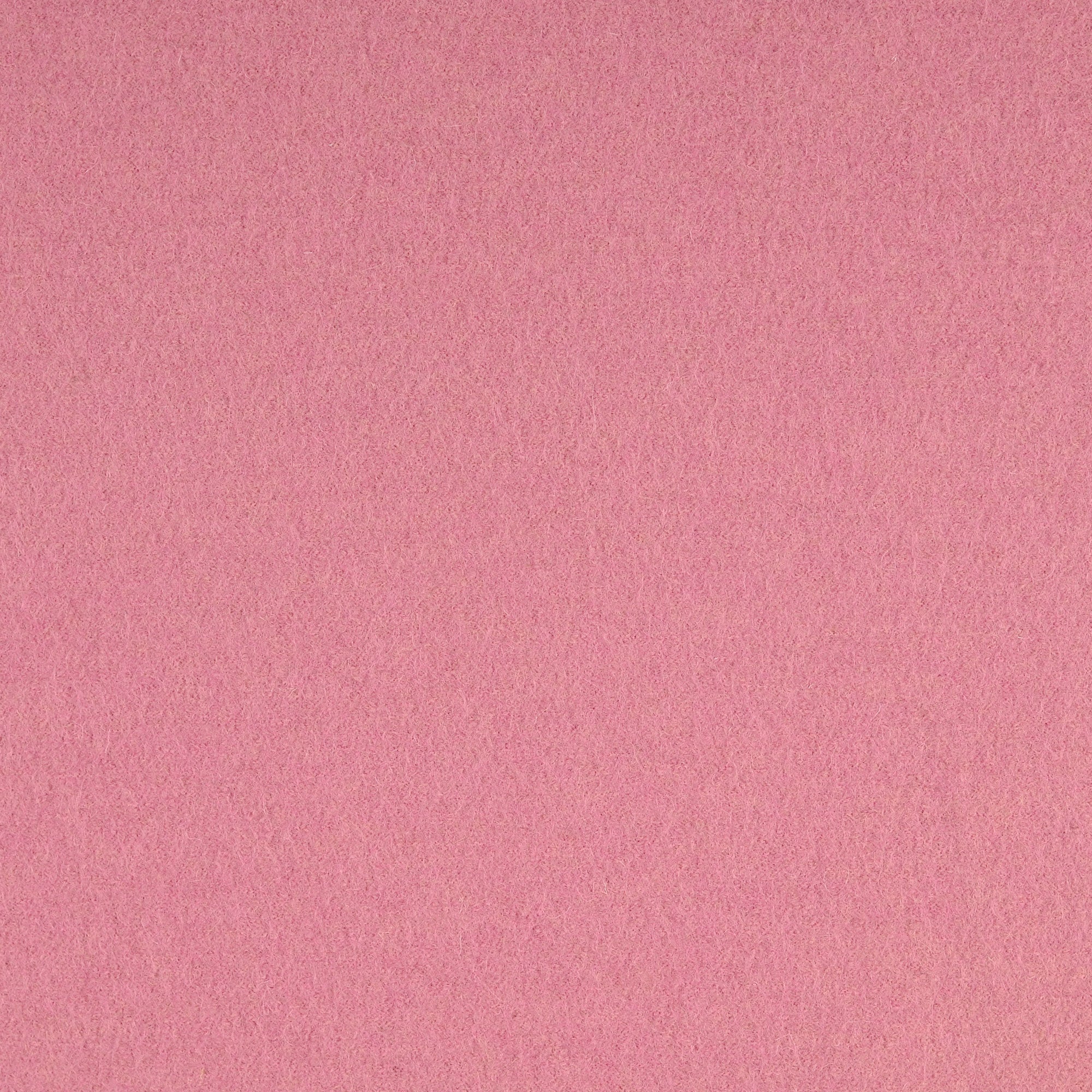 Boiled Wool - Walkloden - Old Pink - 3016 - Image 3