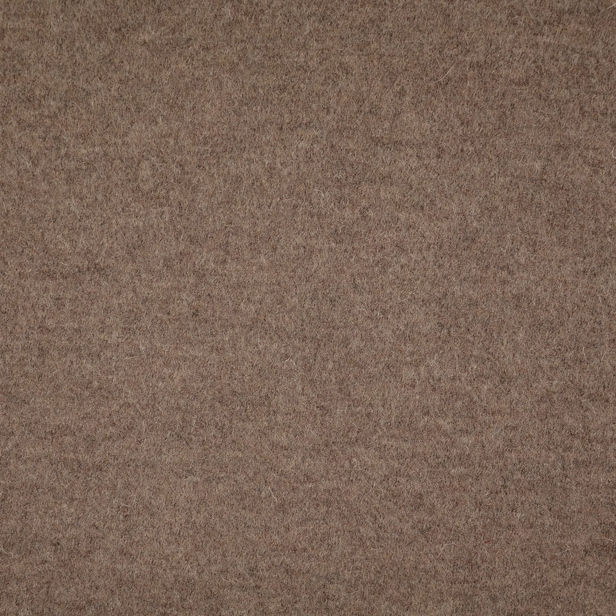 Boiled Wool - Walkloden - Sand - 7005 - Image 3