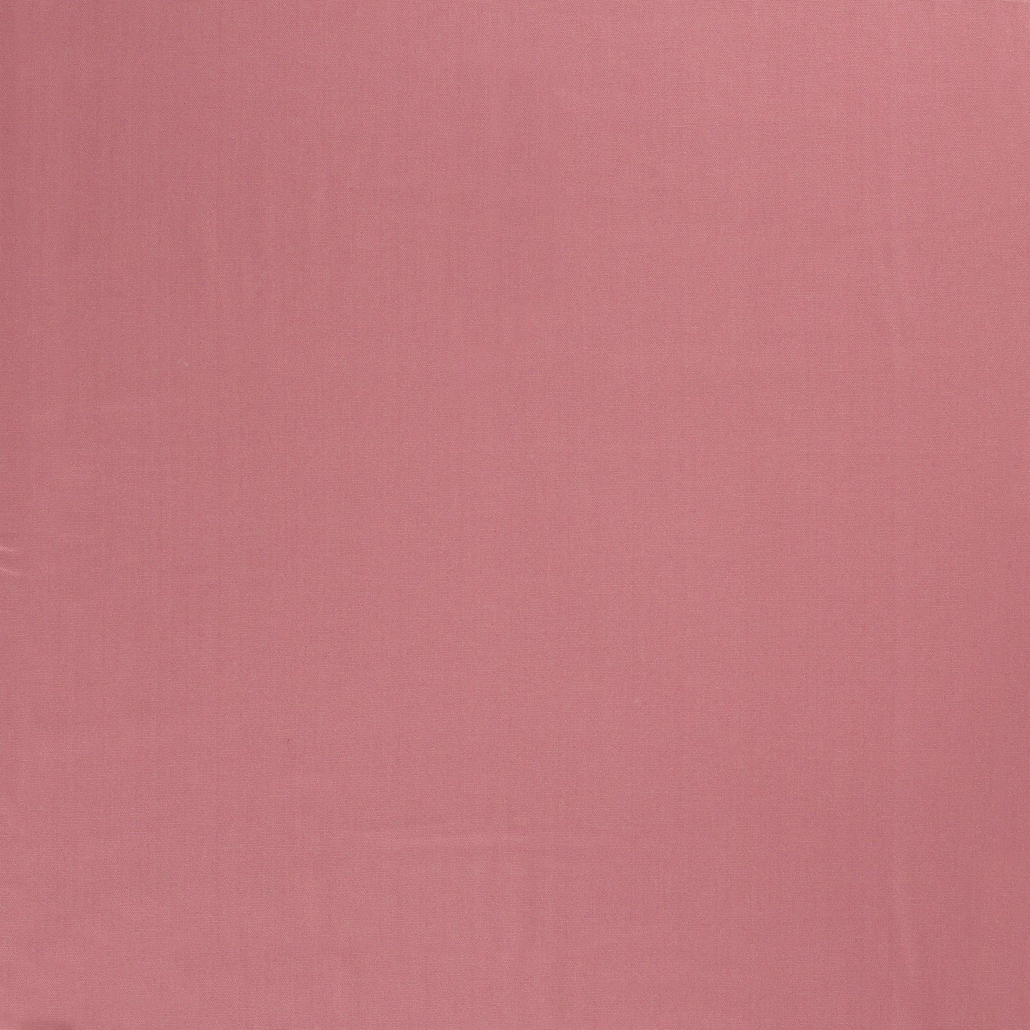 Canvas - Cotton 245g - Dark pink - 013 - Image 2
