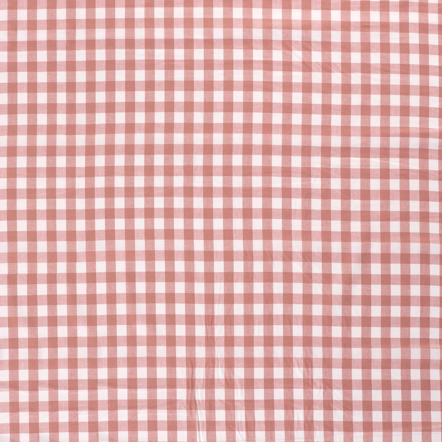 Cotton - Yarn-dyed - Poplin - Check - Large - Old pink - 014 - Image 3