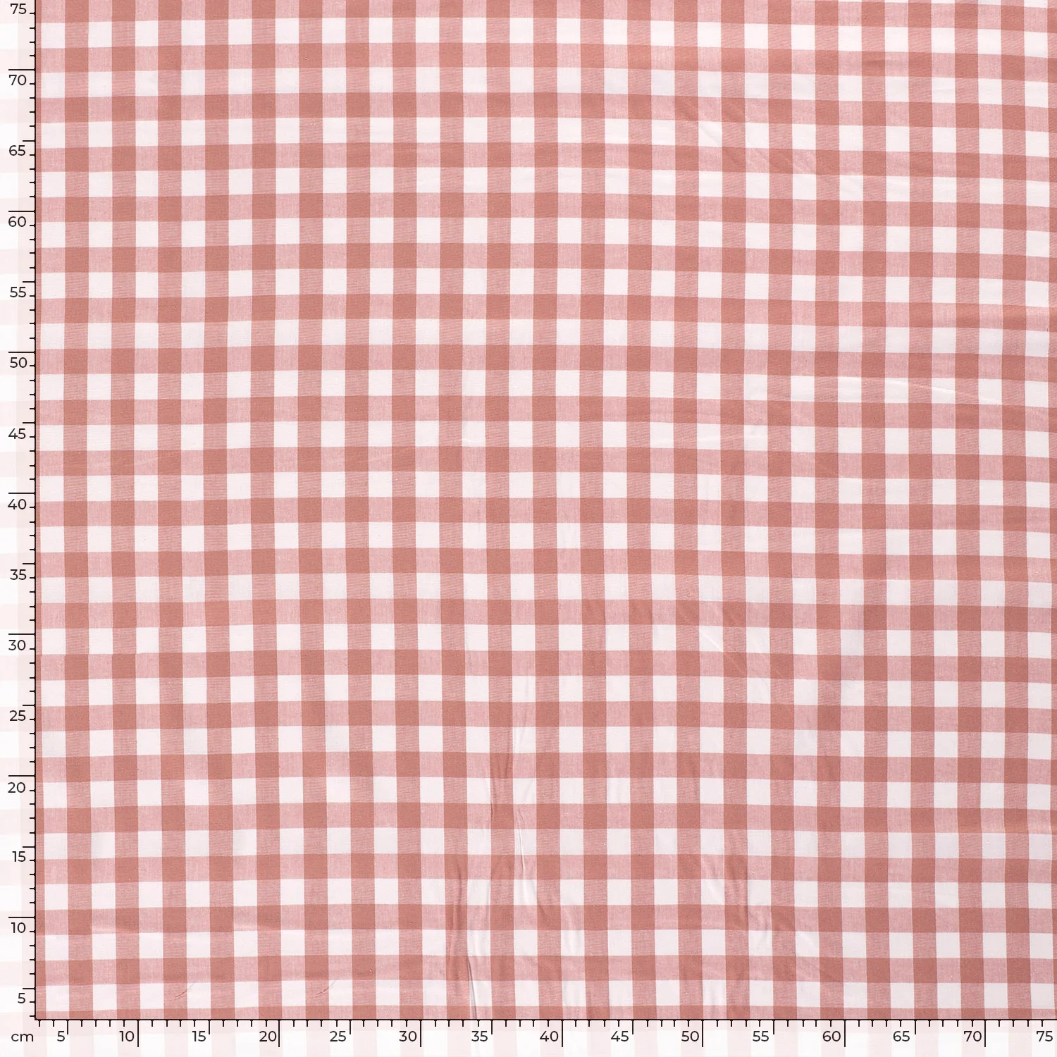 Cotton - Yarn-dyed - Poplin - Check - Large - Old pink - 014 - Image 5