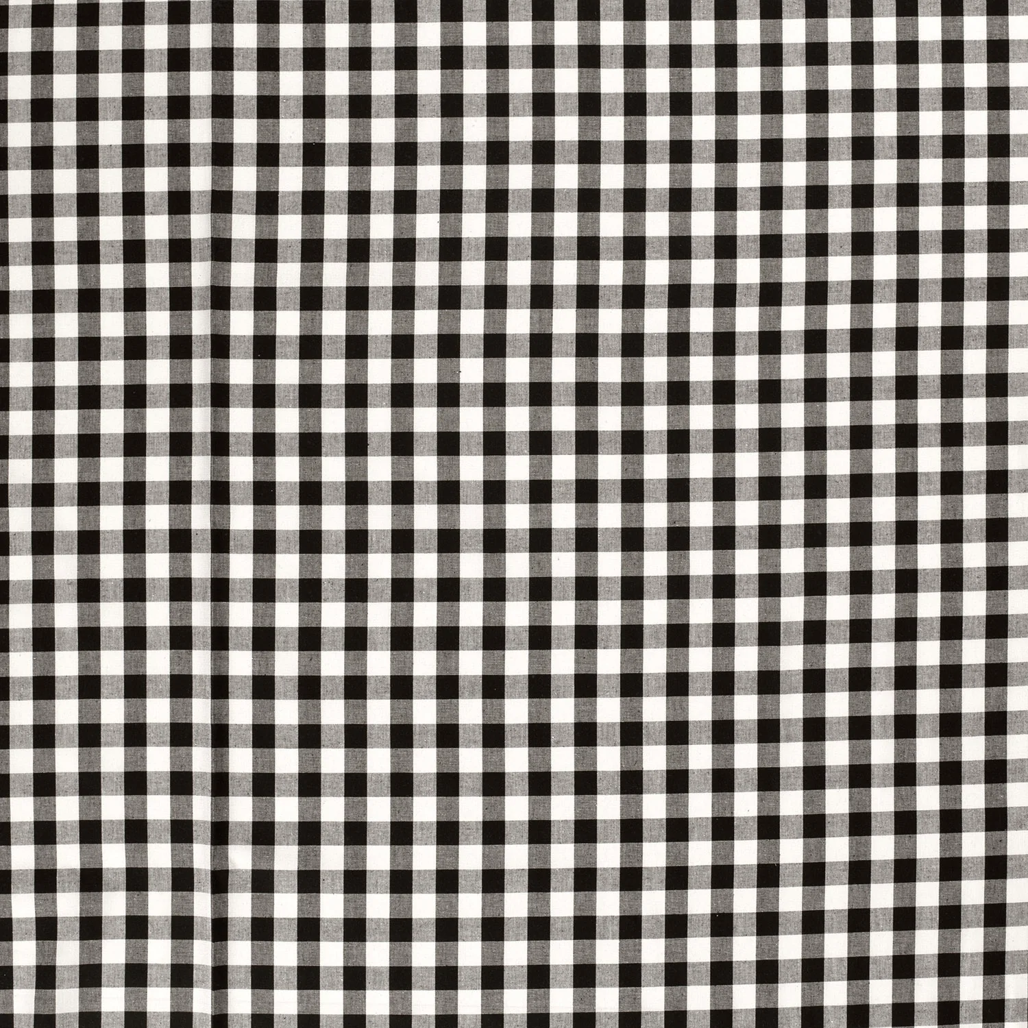 Cotton - Yarn dyed - Poplin - Plaid - Large - Black - 069 - Image 3