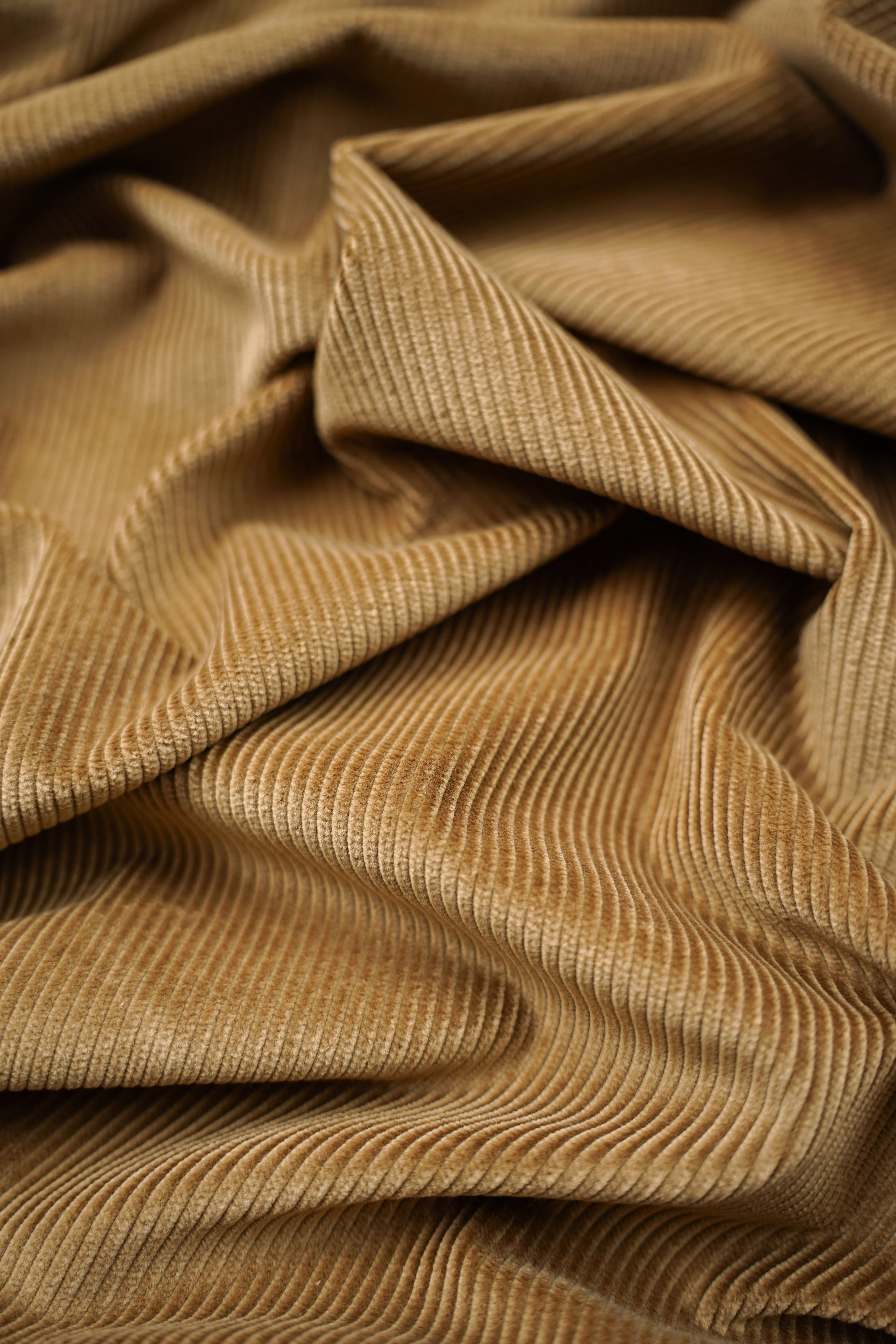 Italian Manchester - Cotton - 360 g/m2 - Golden