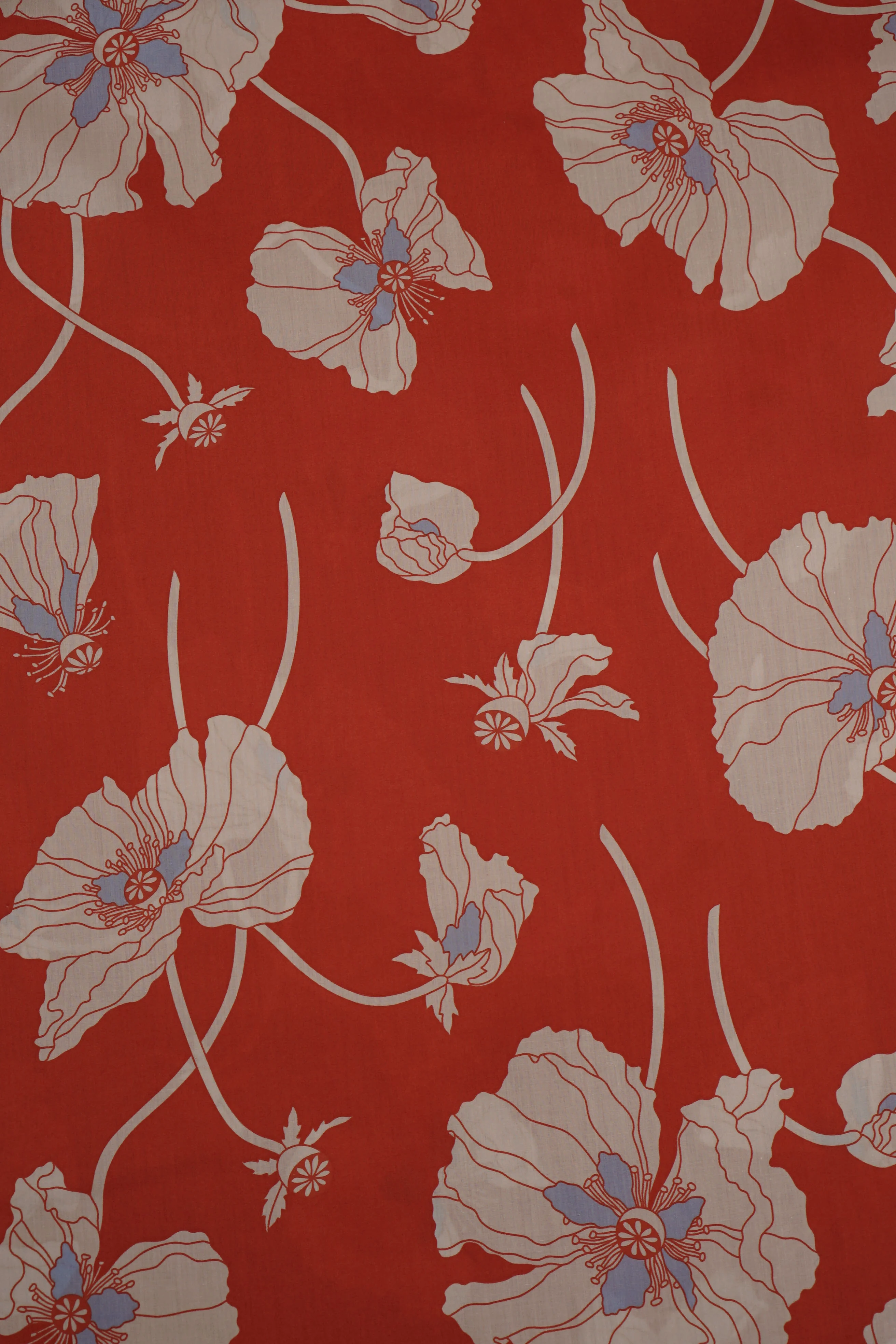 Liberty - Tana Lawn - Cotton - Fragile Blooms B